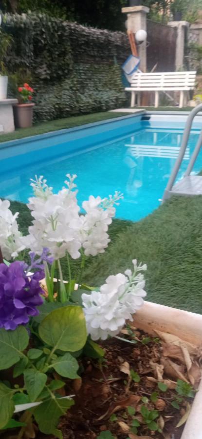 Apartment Casa Le Rose *