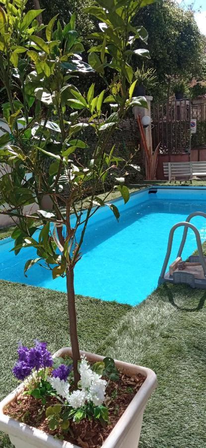 Casa Le Rose Apartment *